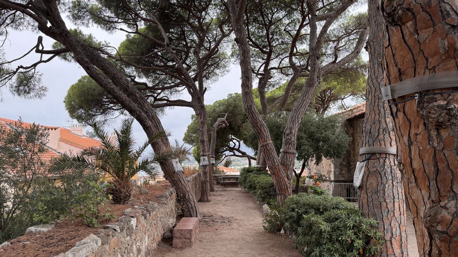 Cannes — zdjęcie 6