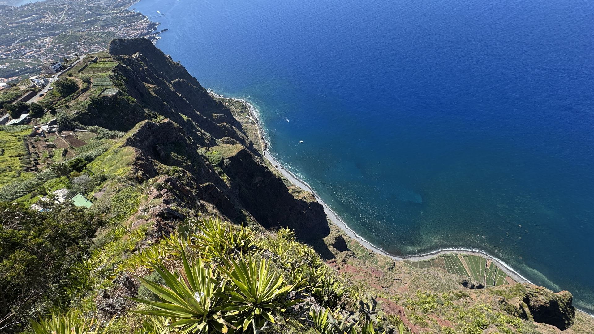 Klif Cabo Girão, tarasy pól i ocean widziane z wysokości niemal 600 metrów