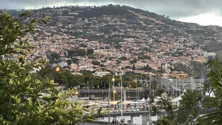 Wzgórza Funchal gęsto zabudowane domami z czerwonymi dachami