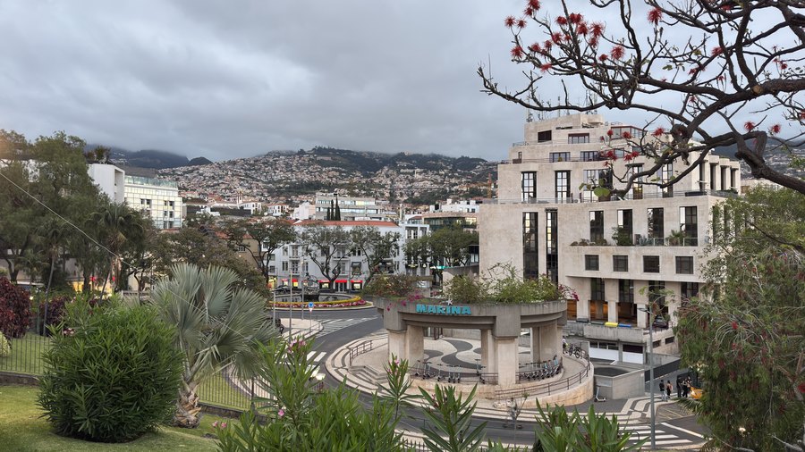 Centrum Funchal przy marinie, w tle domy na zboczach gór