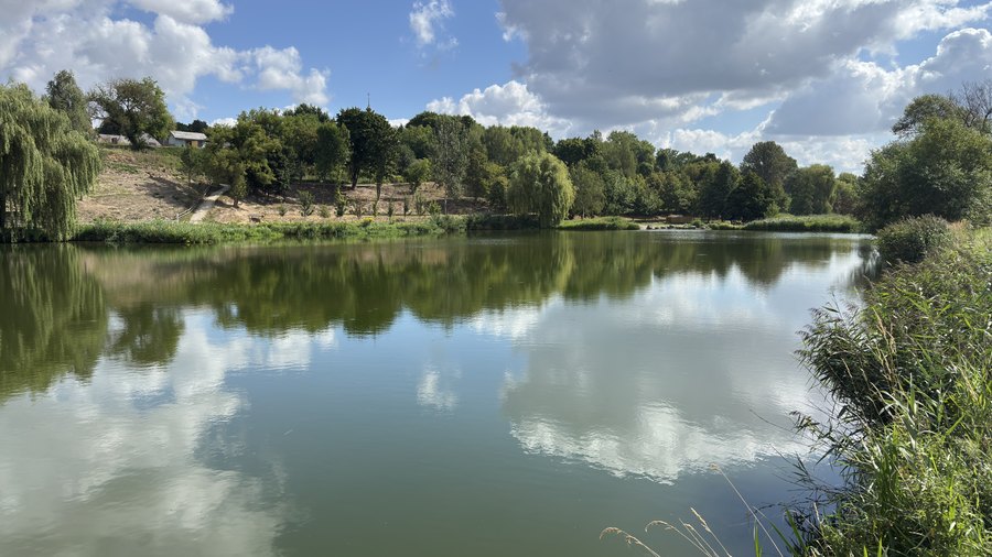 Chmury i drzewa odbite w spokojnej tafli stawu w skansenie