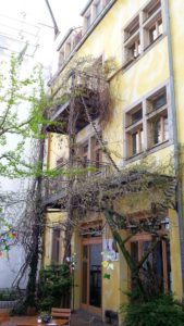 20150501_115404